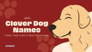 400 Clever Dog Names