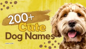 Cute Dog Names