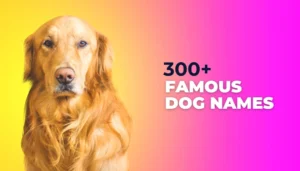 Famous Dog Names