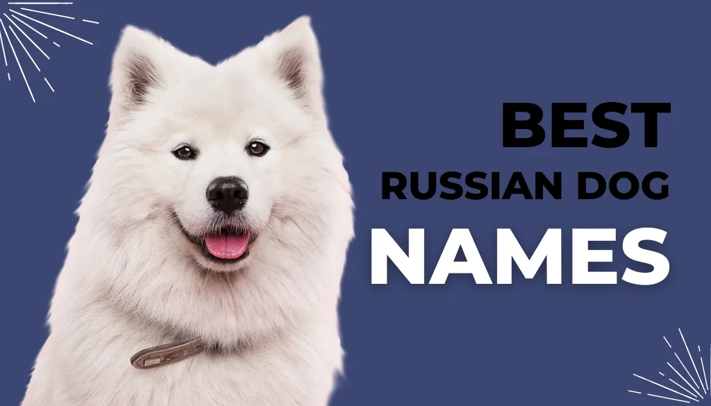 best russian dog names