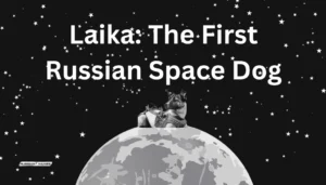 russian space dog name